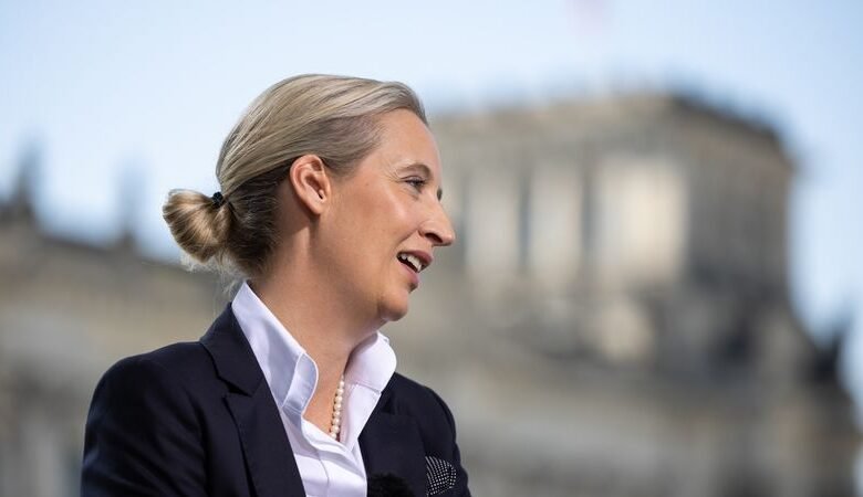 ohr alice weidel
