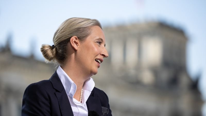 ohr alice weidel